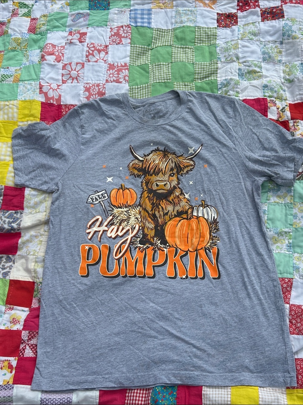 Hay Pumpkin Kids Graphic T-Shirt – Grey with Orange Pumpkin Art
